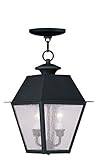 Livex Lighting 2167-04 Mansfield 2-Light Outdoor Chain Hang, Black [並行輸入品]