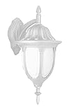 Transglobe Lighting 4048 WH Outdoor Wall Light with Opal Glass Shade, White Finished [並行輸入品]