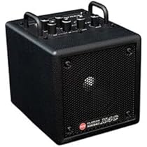 H*I様 PHIL JONES BASS NANOBASS X4C ベース用アン Amazon.co.jp: PJB（PHIL JONES BASS）（フィルジョーンズベース