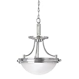 Sea Gull Lighting 77660-962, Winnetka Round Ceiling Lighting, 2 Light, 30 Total Watts, Nickel [並行輸入品