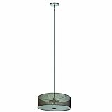 Yosemite Home Decor SH2207-4P-LSSS Lyell Forks Family 4-Light Satin Steel Pendant with Lustrous Stee