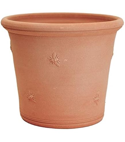 Amazon | ウィッチフォード テラコッタ植木鉢 チェルシーロングトムズ