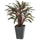 【人工植栽】　タカショー グリーンデコ鉢付 カラテアR レッド　0.9m　GD-164R
