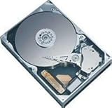 0B22890 Hitachi Ultrastar 15K450 Hard Drive 0B22890 [並行輸入品]