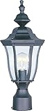 Maxim Lighting 1013BK One Light Seedy Glass Post Light, Black [並行輸入品]
