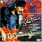 �X�[�p�[�i�`������ ���C��