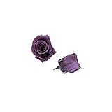 florever　フロールエバー　フレッシュルックベイビーローズ　バイオレット　12輪　Φ2.5～3.5cm　 プリザーブドフラワー　Baby Rose　Violet
