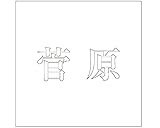 表札用名前シール 明朝体　切文字 ﾎﾜｲﾄ 表札サイズ100ミリ角(100×100ﾐﾘﾀｲﾌﾟ板用) 菅原