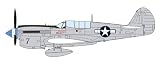 ハセガワ 1/48 P-40N ウォーホーク ナチュラルメタル エーセス プラモデル 07516
