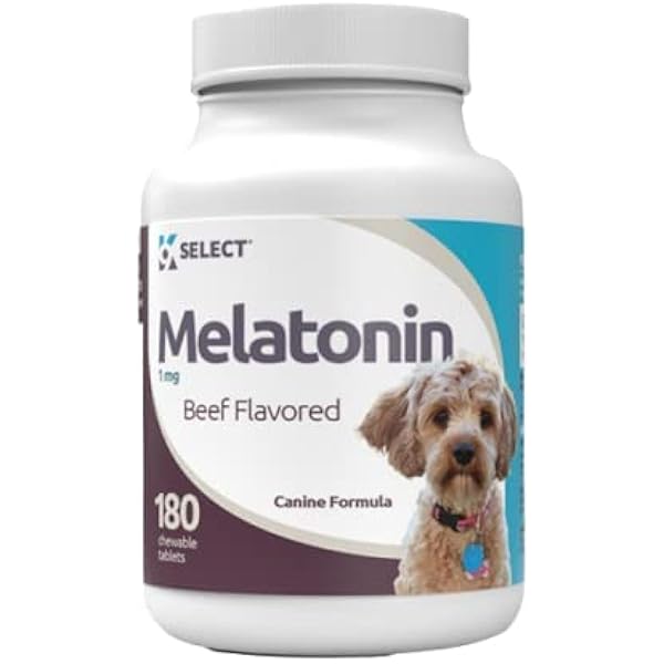 senilife dog supplement