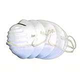 GREATTOOL 使い捨て作業マスク5枚入 FM‐03