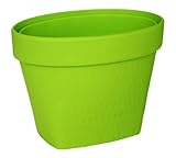 八幡化成 sceltevie(セルテヴィエ) 卓上ダストボックス bonne(ボンヌ) グリーン 1L