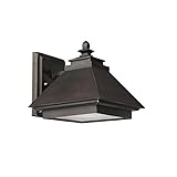 Capital Lighting 9091BB 1-Light Outdoor Wall Lantern-Dark Sky, Burnished Bronze with Rust Scavo Glas