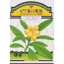 Amazon.co.jp: 梅の薬効 : 牛尾 盛保: Japanese Books