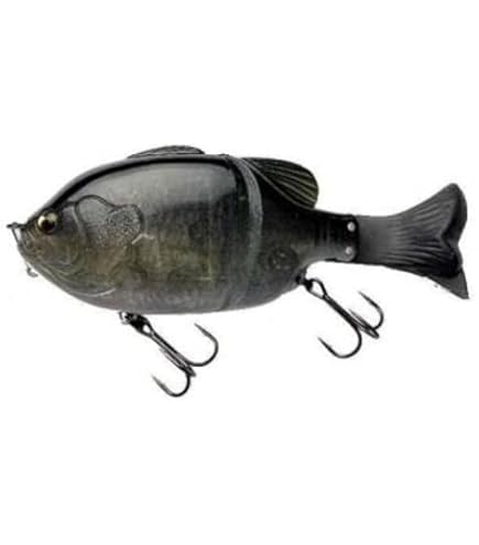 Amazon | イマカツ ギルロイドJr シェルラミネート IMAKATSU