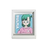 スモール・プラネット(Small Planet) ドラゴンボール フレームマグネット ブルマ