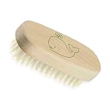 Green Sprouts Baby Nail Brush Stage 1+ - 1 Ct, 2 Pack by green sprouts [並行輸入品]
