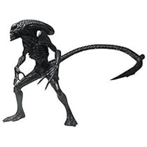 フリュー AVP2 リアルフィギュア エイリアンウォーリアー プレデリアン 2体 316oyUkGNhL._AC_UL210_SR210,