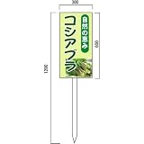 安全・サイン8 コシアブラ販売山菜直売中 看板 (1) 600×300mm 木製支柱付表示板