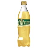コカ・コーラ カナダドライジンジャーエール700mlPET ×20本