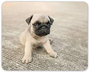 Amazon Co Jp 小さなパグ子犬マウスマットパッド 犬 かわいい子犬 赤ちゃん 子供 コンピューターギフト Hb5874 300 250 3 Mm パソコン 周辺機器