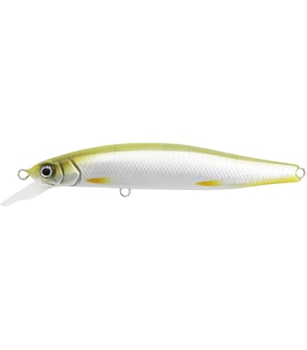 Amazon.co.jp: イッセイ(ISSEI) ペンシルベイト G.C.ワカペン 90mm 10g