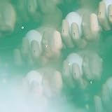 RO JAPAN RECORDS eyes(ミニAL)