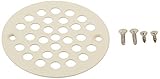 Jones Stephens C6089AL Almond Stamped D50001 Strainer [並行輸入品]