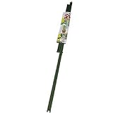 アイリスオーヤマ ベジタブルケージ トマト用 VC-18TM グリーン