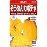 サカタのタネ そうめんカボチャ 金糸瓜