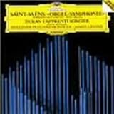 �T��=�T�[���X:�����ȑ�3�ԁ�I���K���t��/�f���J�X:�������ᖂ�@�g���̒�q��