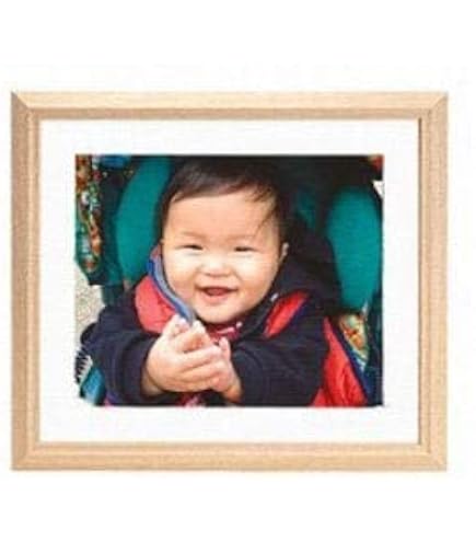 FUJICOLOR 額縁 アートフレーム アクリル 全紙 木製 ホワイト 47084