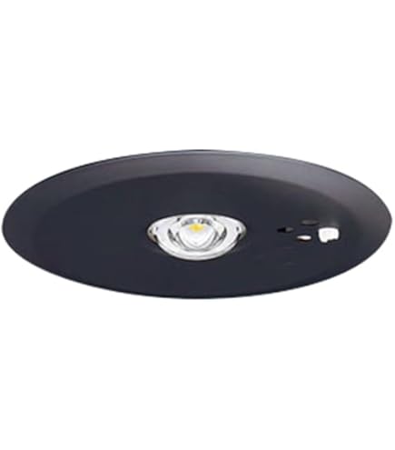 Amazon | パナソニック(Panasonic) 天井埋込型 LED 昼白色 非常用照明