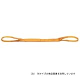 ベルトスリング 3E 100X6M ベルト長：6m