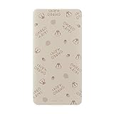 グルマンディーズ USB/USB Type-C 4000mAh リチウムイオンポリマー 充電器 2.1A チップ＆デール DNG-127CD