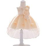 ベビードレス ワンピース プリンセス　トレーン　引き裾 ノースリーブ 女の子ドレス 女児　新生児　セレモニー　キッズ　フォーマル　ガールズ　チュールスカート　パーティー　フォーマル　お宮参り　結婚式　