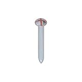 コノエ鋲_No.R_14(D)×7(d)×65(L)(100本入×10)アスファルト用：【測量用品】：255-0031