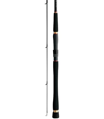 Amazon | ダイワ(DAIWA) シーバスロッド シーバスハンターX 96ML