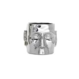 Torre and Tagus 900363 Face Vase, Small, Chrome by Torre & Tagus [並行輸入品]