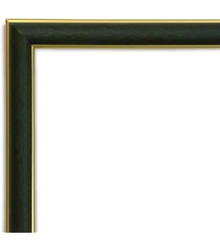 Amazon.co.jp: 大額(Daigaku) 横長額 600×300 シタン色 アクリル 5899