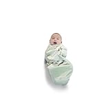 Journey Deluxe Embroidered Swaddle Wrap - Velour Lined by FAO Schwarz [並行輸入品]