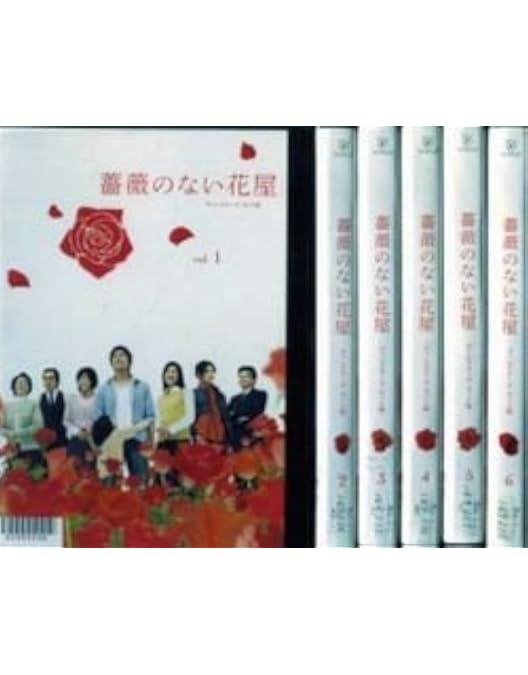 Amazon.co.jp: チープ・フライト : 竹内結子, 向井 理, 桐谷美玲, 宮崎