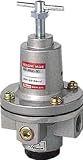 日本精器　レギュレータ　２５Ａ　1034456 BN3R0125