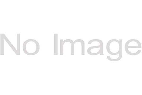 世界最強の魔女、始めました　～私だけ『攻略サイト』を見れる世界で自由に生きます～（１２） (月マガ基地)