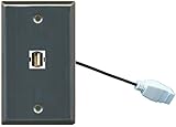 RiteAV ( 1ギャングフラット) USB壁プレートW /ピグテール延長ケーブルステンレススチール