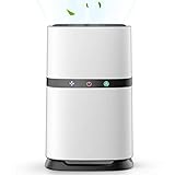 空気清浄機 小型 花粉 ハウスダスト タバコ 持ち運び 軽量 静音 省エネ Ergo life