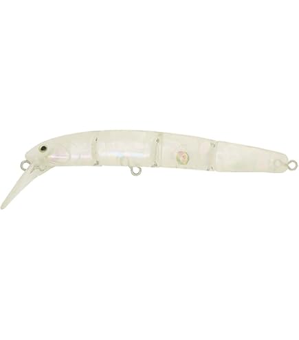 Amazon.co.jp: ヴァルケイン(Valkein) ダーインスレイヴ 6'1GL Rev-F