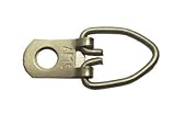 100 Single Hole Brass Plated D Ring W/screws [並行輸入品]