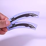 【手品 マジック】錯覚猫のマジック 錯覚マジック 近景マジック道具 手品 道具 (錯覚猫)