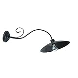 Yosemite Home Decor 44303-1ORB 1-Light Exterior, Oil Rubbed Bronze Finish [並行輸入品]